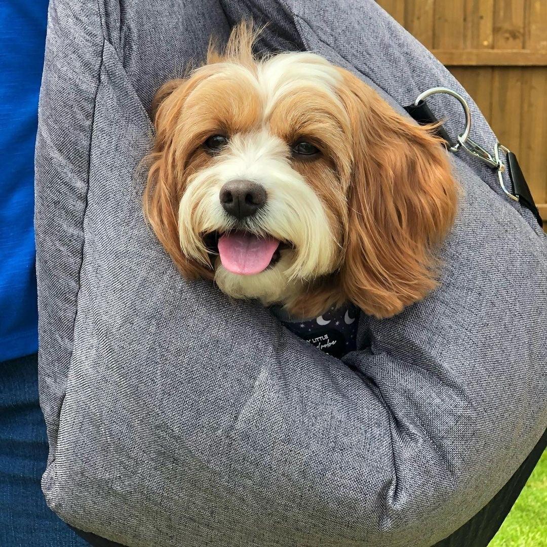 Pet Travel Bed for Car | Comfortable & Non-Slip Dog Car Seat Bed