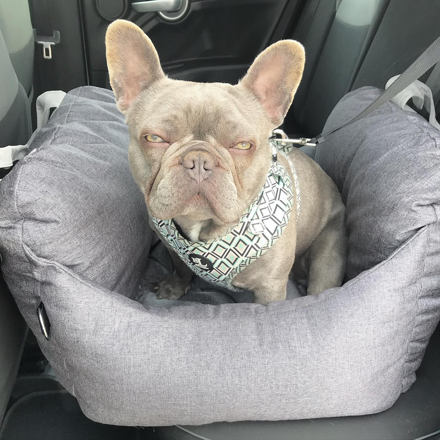 Pet Travel Bed for Car | Comfortable & Non-Slip Dog Car Seat Bed