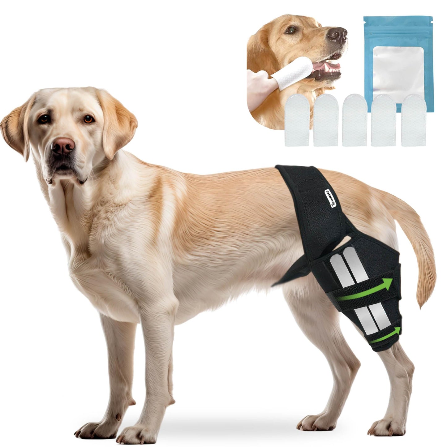 Dog Knee Brace for ACL Support | Adjustable Leg Brace for Injury & Recovery