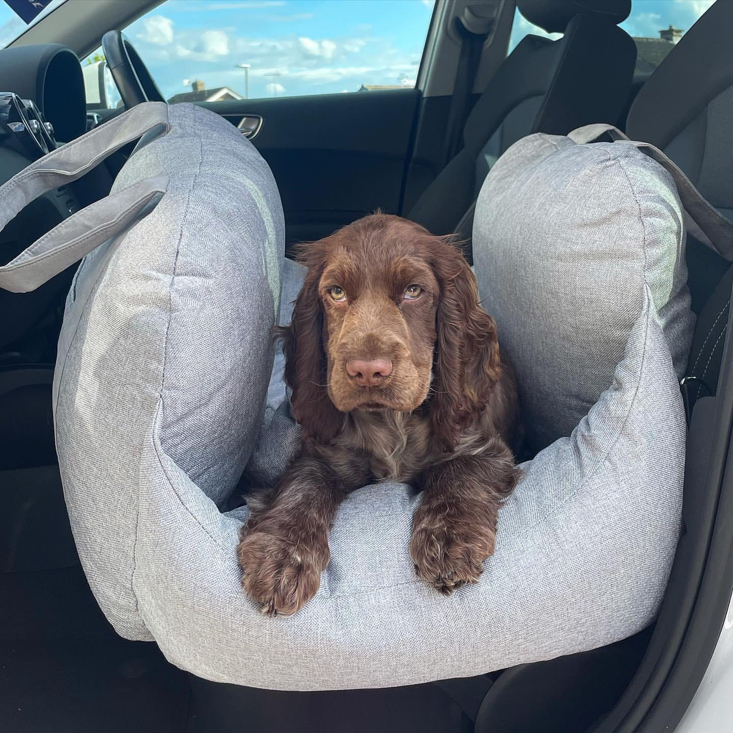 Pet Travel Bed for Car | Comfortable & Non-Slip Dog Car Seat Bed