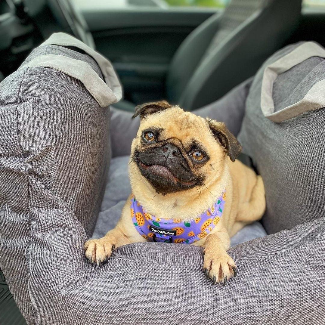 Pet Travel Bed for Car | Comfortable & Non-Slip Dog Car Seat Bed