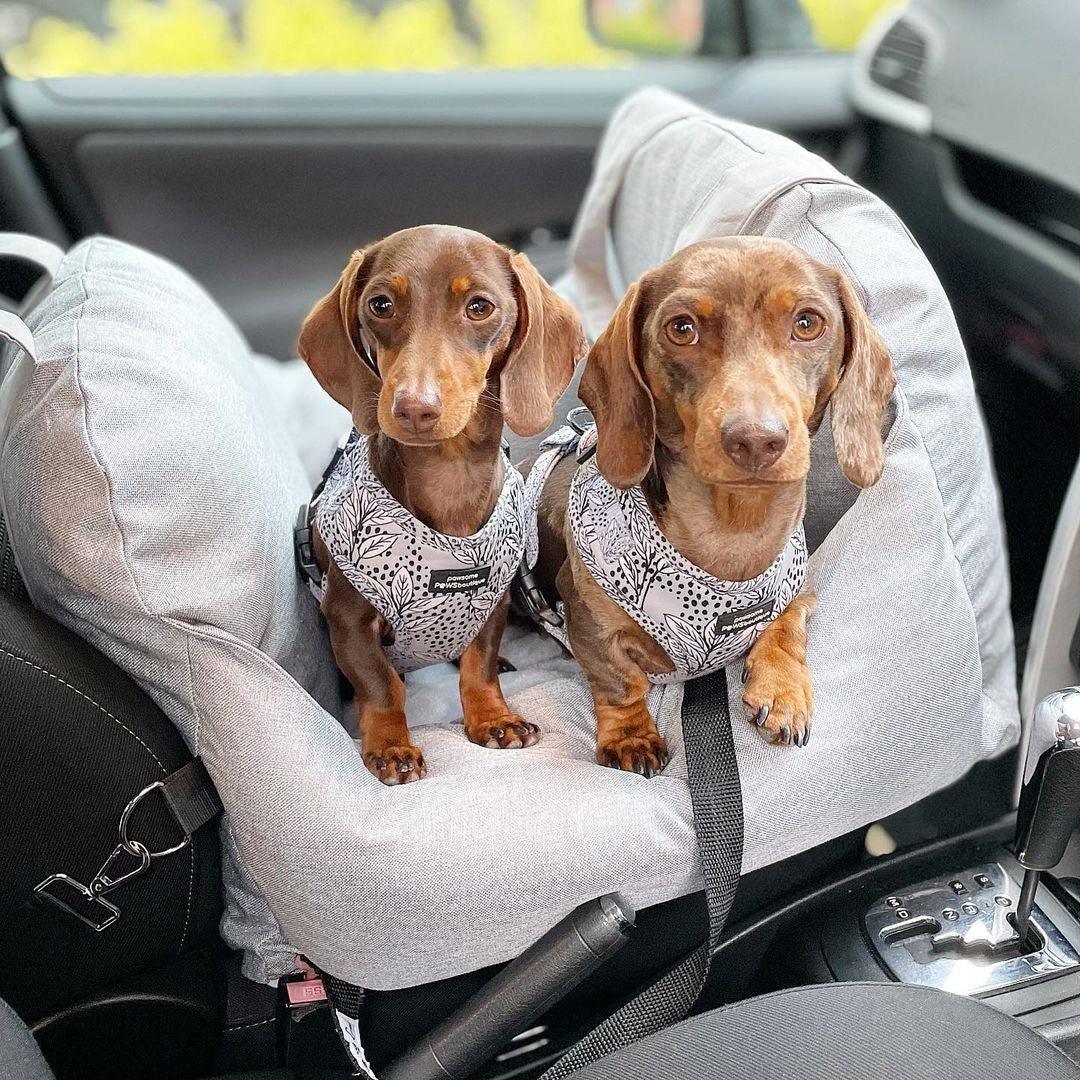 Pet Travel Bed for Car | Comfortable & Non-Slip Dog Car Seat Bed