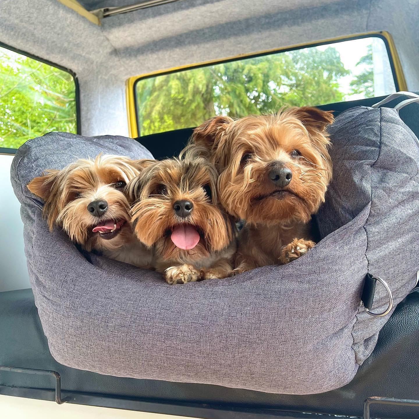 Pet Travel Bed for Car | Comfortable & Non-Slip Dog Car Seat Bed